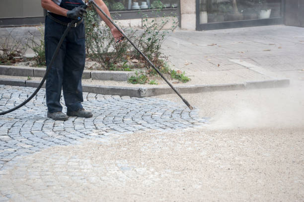 Best Pre-Holiday Cleaning  in Marlboro, NY